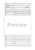 Fantasia di Concerto - Score
