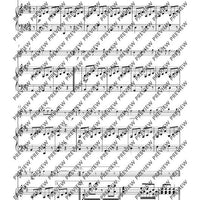 Variationen über „Nel cor più non mi sento“