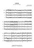 Gopak - Score