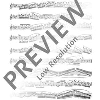 30 Virtuoso Etudes in all major and minor keys