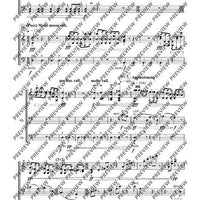 Cadenzas - Performing Score