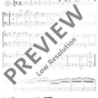 Concerto Grosso - Cello/double Bass