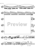 Cadenzas Concertos KV313, 314 and 299