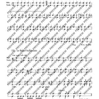 Tambourin - Set of Parts