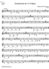 Divertimento No.17 D Major KV334 - D Horn 2