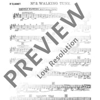 Walking Tune - Set of Parts