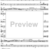 Concerto for Mandolin and Orchestra in F major - Cello