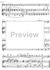 Fantaisie de concert - Score