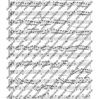 3 Duetti concertanti - Score and Parts