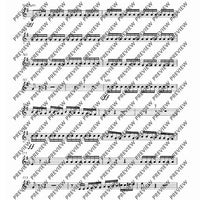 Concerto E Minor - Set of Parts