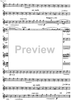 Divertimento Op.69 - Flute