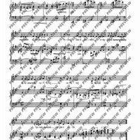 Kazdá z jiné kapsy