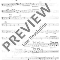 Concerto d minor - Cello/double Bass