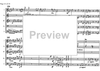 Fantasy and Toccata - Score