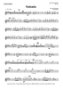 Kakadu - Alto Saxophone 2