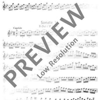 Fantasias and Caprices