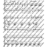 Adiantum Capillus-Veneris III (Maidenhair fern III)