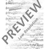 The Flutist's ”Non plus ultra“