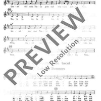 Lob des Sommers - Alto