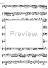Preliminary studies to 'The Accomplished Clarinettist' Vol. 1 - Clarinet