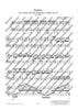 Cadenzas in C minor