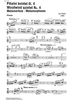 Metamorhposes - Flute