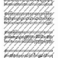 Kazdá z jiné kapsy