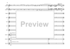 Bass Clarinet Double Concerto - Score