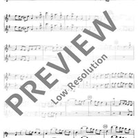 Concerto grosso in G major - Violine I (solo E Rip.)