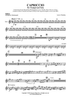 Capriccio - Mallets
