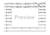 Bass Clarinet Double Concerto - Score