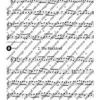 Irish Folk Tunes for Descant Recorder