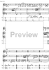 Il tamburino magico - Score