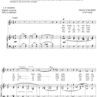 Heaven-Rays (Himmelsfunken)