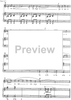 L'estiu fecund al jardinet - Score