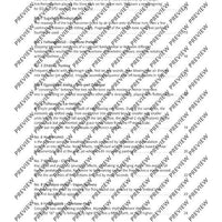 The Flute Expedition