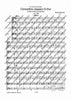 Concertino classico D major - Score
