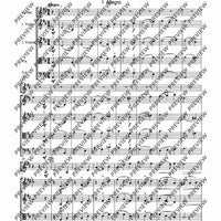 Concertino classico D major - Score