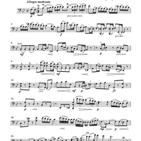 Cello Accompaniments - Volume 3