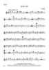 Scat Cat - Flute