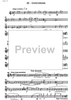 Ballo campestre Op.49 - Flute