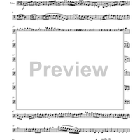 Five Segments for Solo Tuba - Tuba