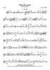 Vista Encanto - Flute 1