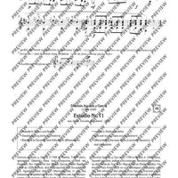 100 Classical and Romantical Études