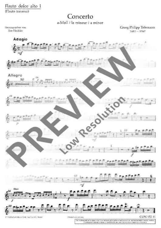 Concerto A minor - Set of Parts