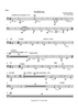 Andaluza - Tuba