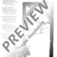 Guitars for Christmas