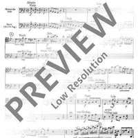 Organ Concerto No. 3 G Minor - Bassi/bassoon