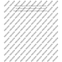 The Arrangements C-Flute(s) with Alto Flute