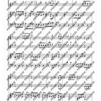 Concerto II G Major - Score and Parts